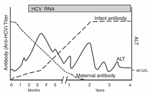 Figura 1. Transmisión vertical del virus de la hepatitis C